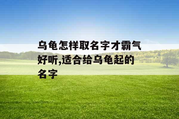 乌龟怎样取名字才霸气好听,适合给乌龟起的名字