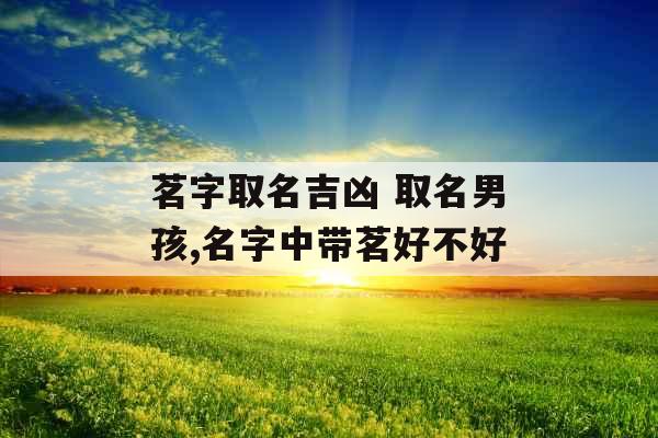 茗字取名吉凶 取名男孩,名字中带茗好不好
