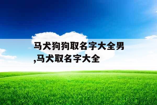 马犬狗狗取名字大全男,马犬取名字大全