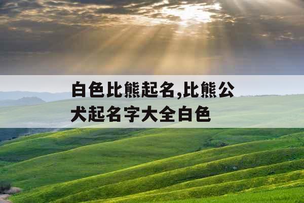 白色比熊起名,比熊公犬起名字大全白色