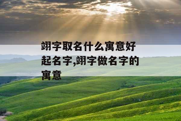 翊字取名什么寓意好 起名字,翊字做名字的寓意