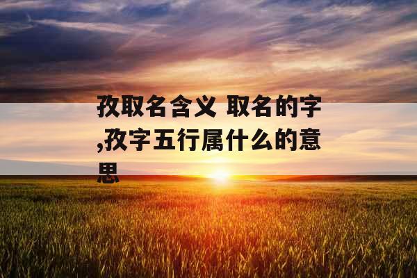 孜取名含义 取名的字,孜字五行属什么的意思
