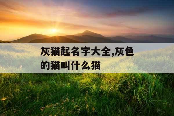 灰猫起名字大全,灰色的猫叫什么猫