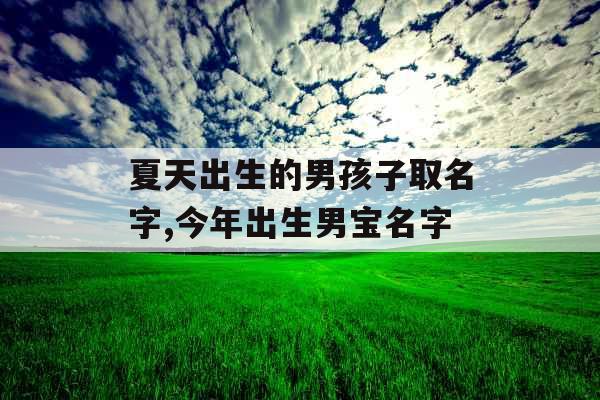 夏天出生的男孩子取名字,今年出生男宝名字