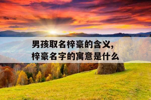 男孩取名梓豪的含义,梓豪名字的寓意是什么