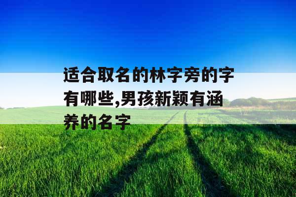 适合取名的林字旁的字有哪些,男孩新颖有涵养的名字 适合取名的林字旁的字有哪些,男孩新颖有涵养的名字