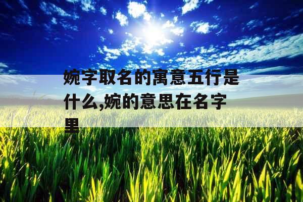 婉字取名的寓意五行是什么,婉的意思在名字里