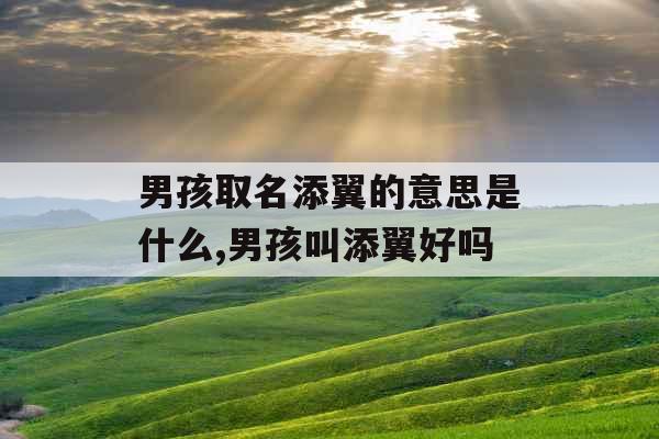 男孩取名添翼的意思是什么,男孩叫添翼好吗