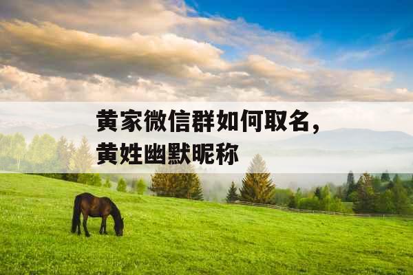 黄家微信群如何取名,黄姓幽默昵称 黄家微信群如何取名,黄姓幽默昵称