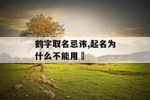 鹤字取名忌讳,起名为什么不能用喆