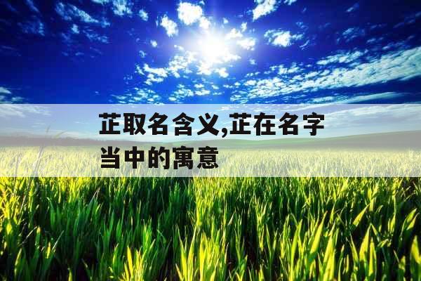 芷取名含义,芷在名字当中的寓意