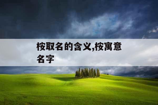 桉取名的含义,桉寓意名字