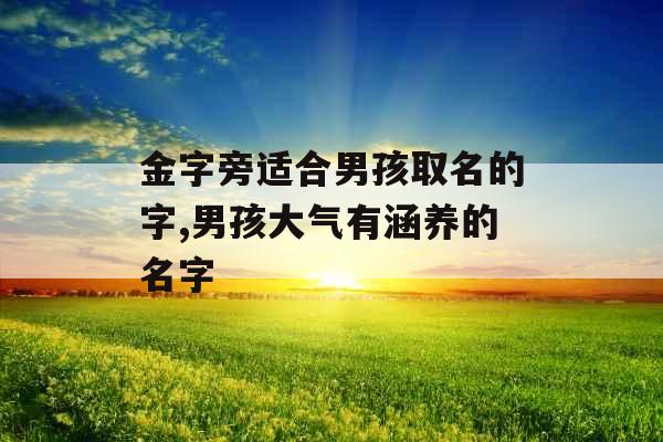 金字旁适合男孩取名的字,男孩大气有涵养的名字 金字旁适合男孩取名的字,男孩大气有涵养的名字