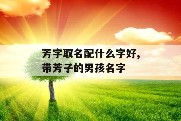 芳字取名配什么字好,带芳子的男孩名字