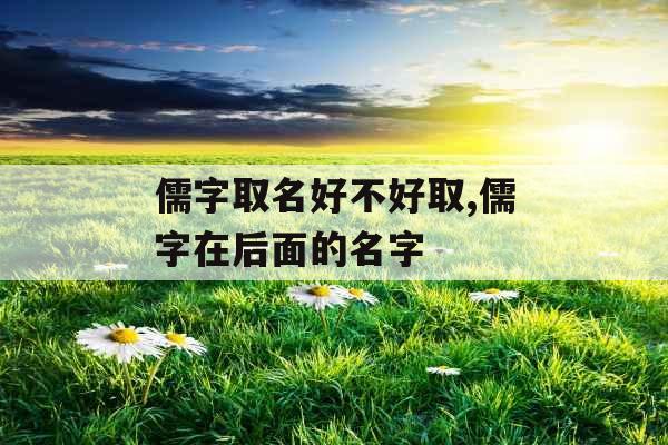 儒字取名好不好取,儒字在后面的名字