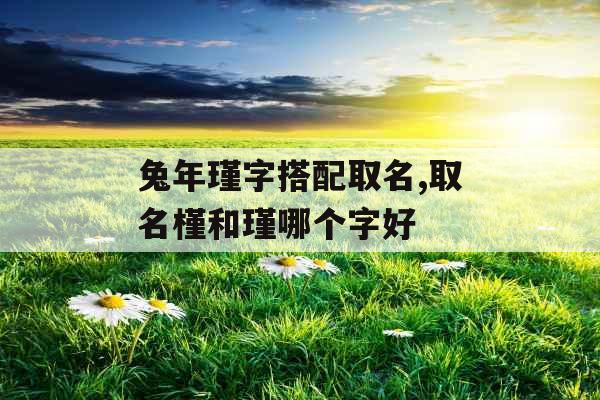 兔年瑾字搭配取名,取名槿和瑾哪个字好