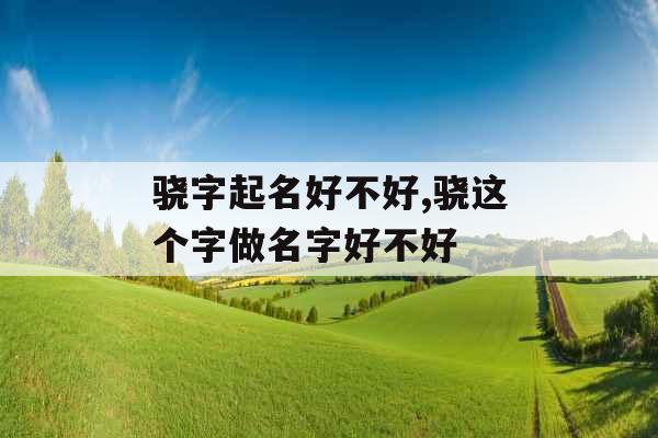 骁字起名好不好,骁这个字做名字好不好