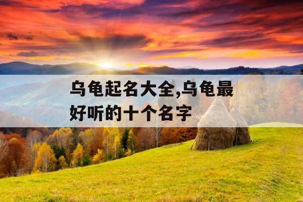 乌龟起名大全,乌龟最好听的十个名字