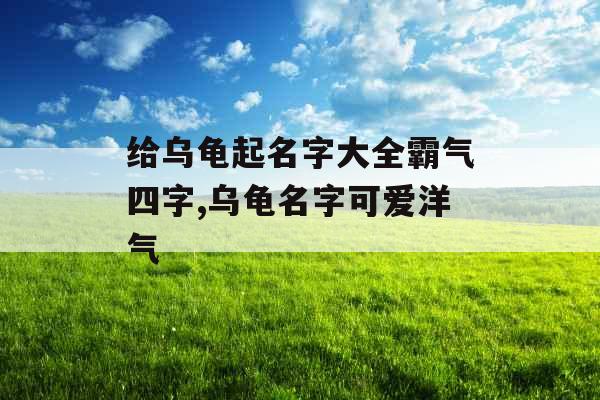 给乌龟起名字大全霸气四字,乌龟名字可爱洋气