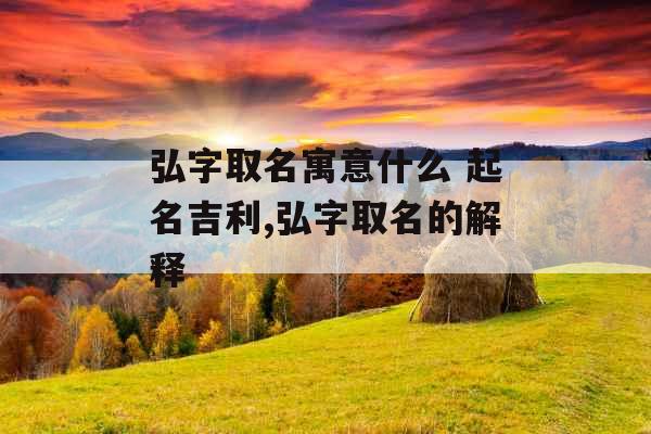 弘字取名寓意什么 起名吉利,弘字取名的解释