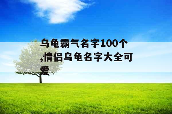 乌龟霸气名字100个,情侣乌龟名字大全可爱
