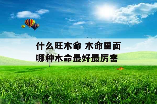 什么旺木命 木命里面哪种木命最好最厉害 什么旺木命 木命里面哪种木命最好最厉害
