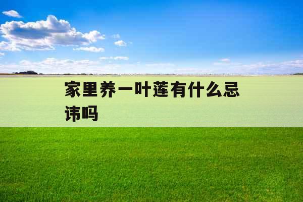 家里养一叶莲有什么忌讳吗