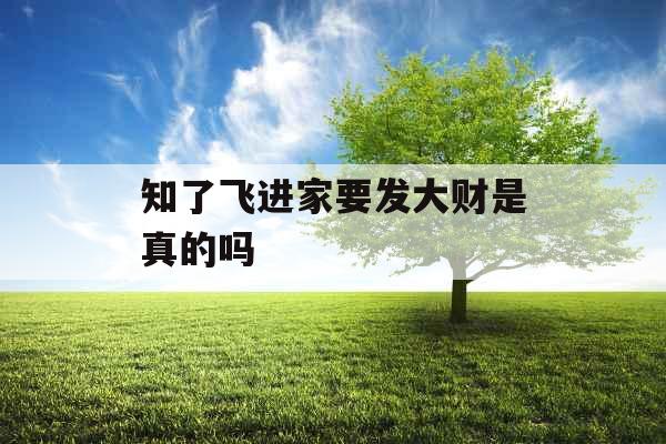 知了飞进家要发大财是真的吗