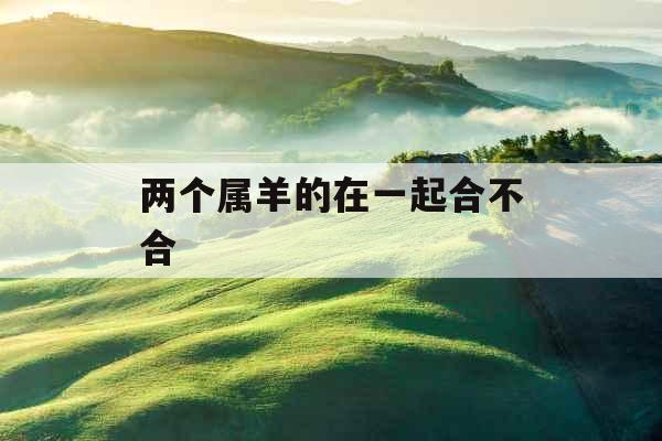 两个属羊的在一起合不合