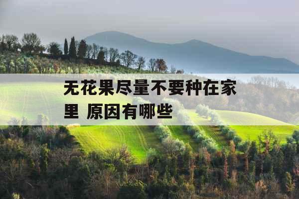 无花果尽量不要种在家里 原因有哪些