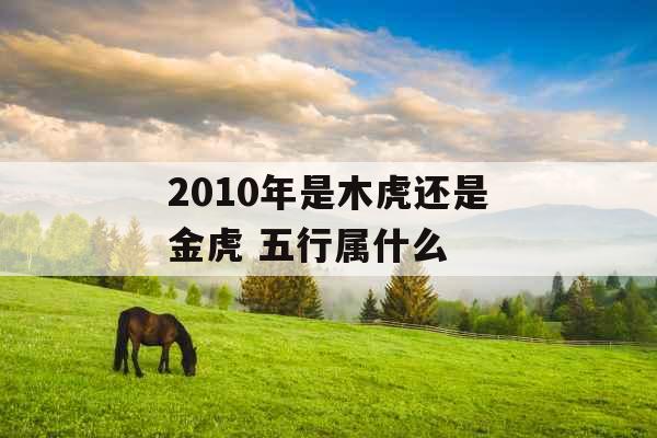 2010年是木虎还是金虎 五行属什么 2010年是木虎还是金虎 五行属什么