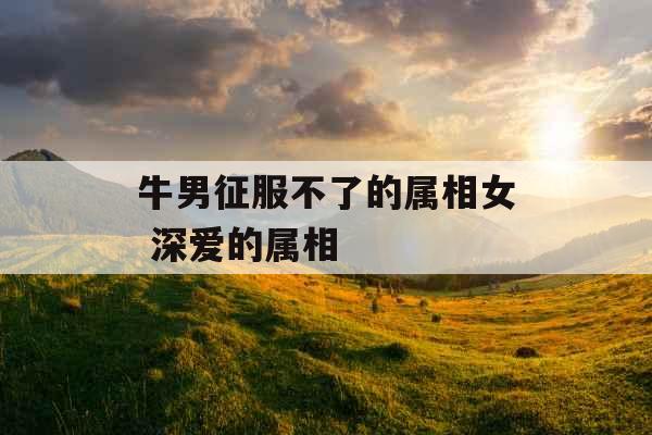 牛男征服不了的属相女 深爱的属相