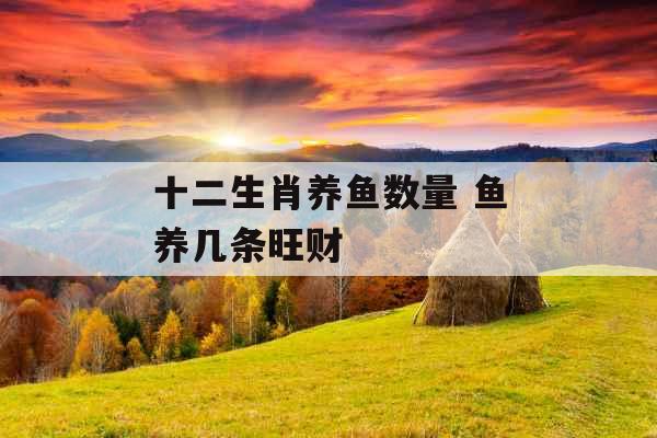 十二生肖养鱼数量 鱼养几条旺财