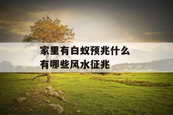 家里有白蚁预兆什么 有哪些风水征兆