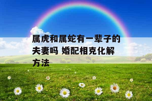 属虎和属蛇有一辈子的夫妻吗 婚配相克化解方法