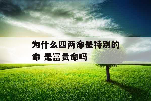 为什么四两命是特别的命 是富贵命吗