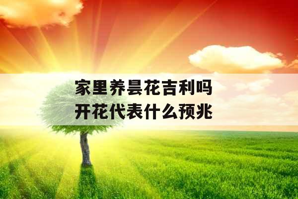 家里养昙花吉利吗  开花代表什么预兆