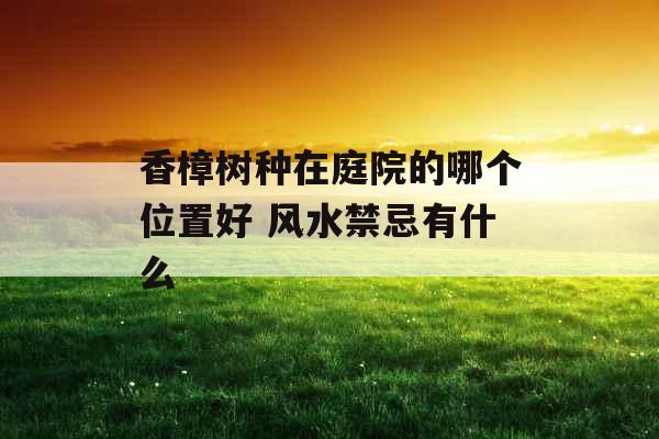 香樟树种在庭院的哪个位置好 风水禁忌有什么