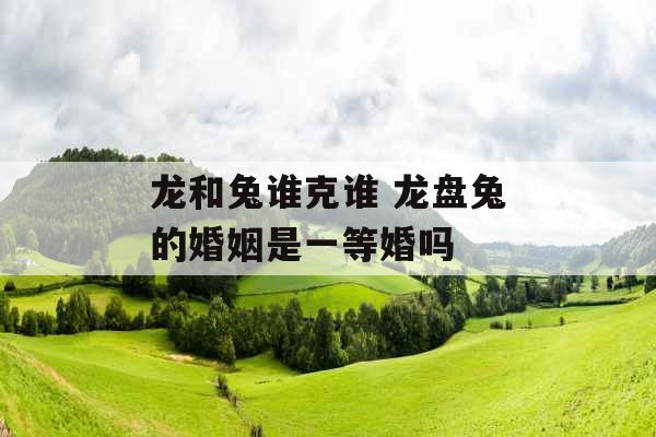 龙和兔谁克谁 龙盘兔的婚姻是一等婚吗 龙和兔谁克谁 龙盘兔的婚姻是一等婚吗
