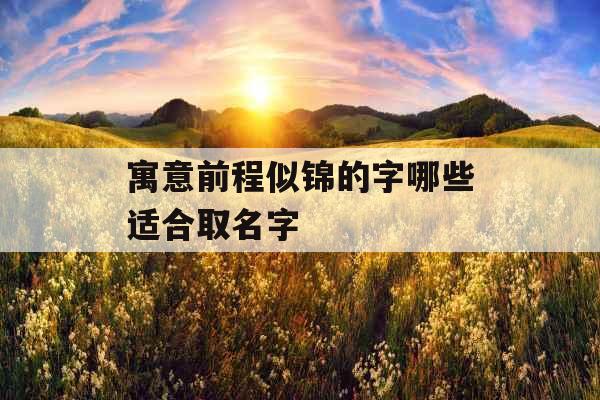 寓意前程似锦的字哪些适合取名字
