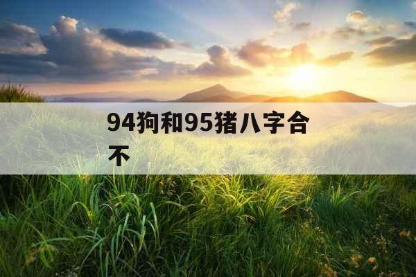 94狗和95猪八字合不