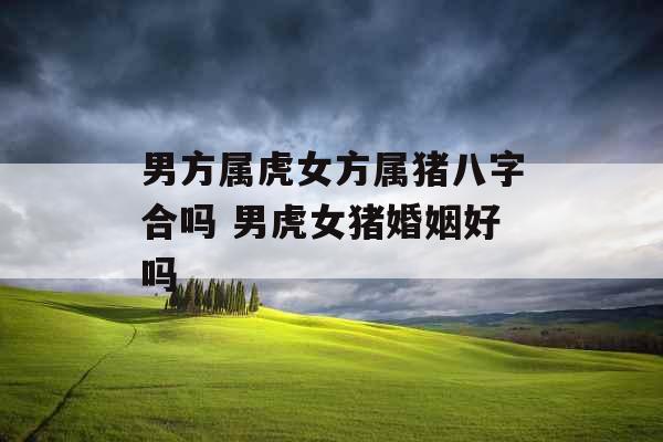 男方属虎女方属猪八字合吗 男虎女猪婚姻好吗