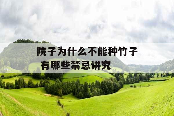 院子为什么不能种竹子 有哪些禁忌讲究