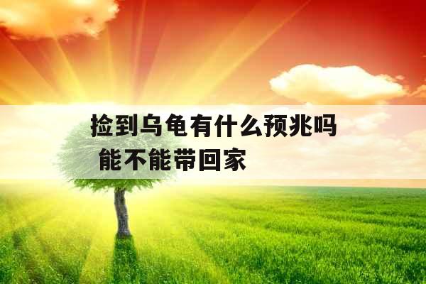 捡到乌龟有什么预兆吗 能不能带回家