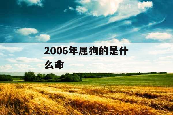 2006年属狗的是什么命