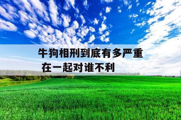 牛狗相刑到底有多严重 在一起对谁不利 牛狗相刑到底有多严重 在一起对谁不利