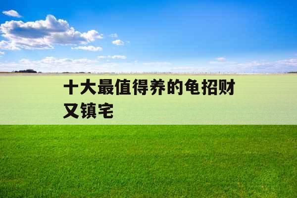 十大最值得养的龟招财又镇宅