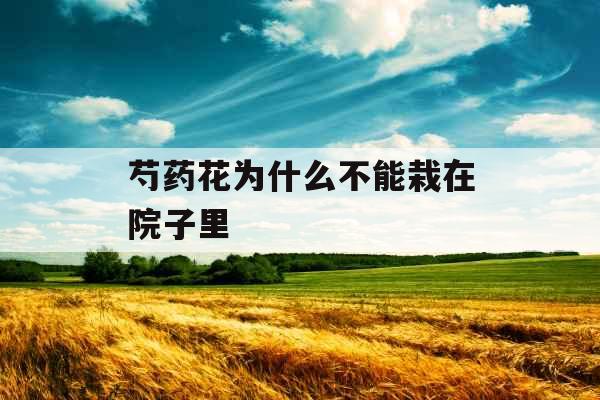 芍药花为什么不能栽在院子里 芍药花为什么不能栽在院子里