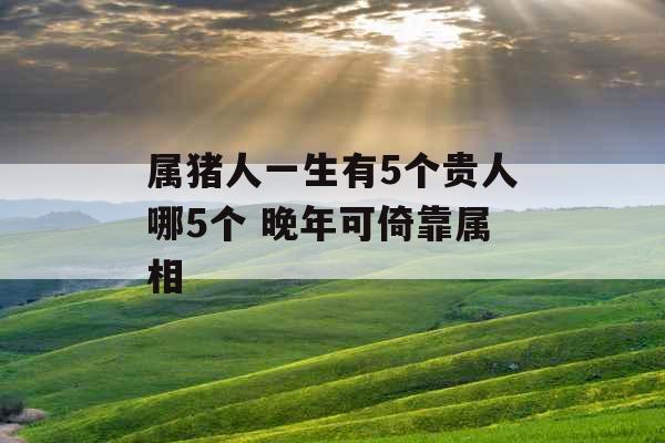 属猪人一生有5个贵人哪5个 晚年可倚靠属相