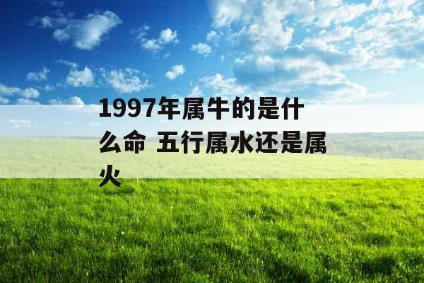 1997年属牛的是什么命 五行属水还是属火